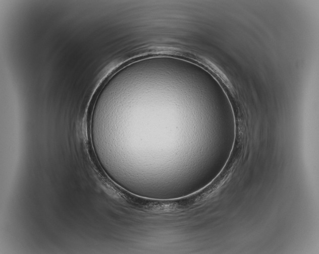 X0000116420891200912150956