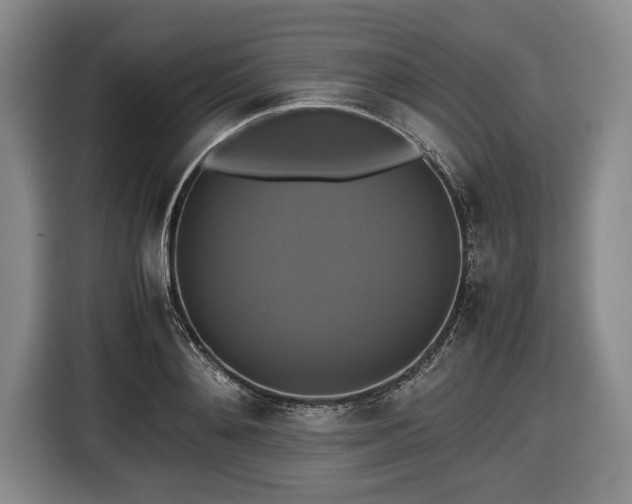 X0000116420892200912150956