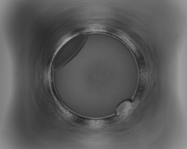 X0000116420893200912150956
