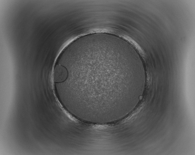 X0000116420894200912150956