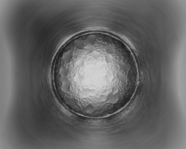 X0000116420895200912150956