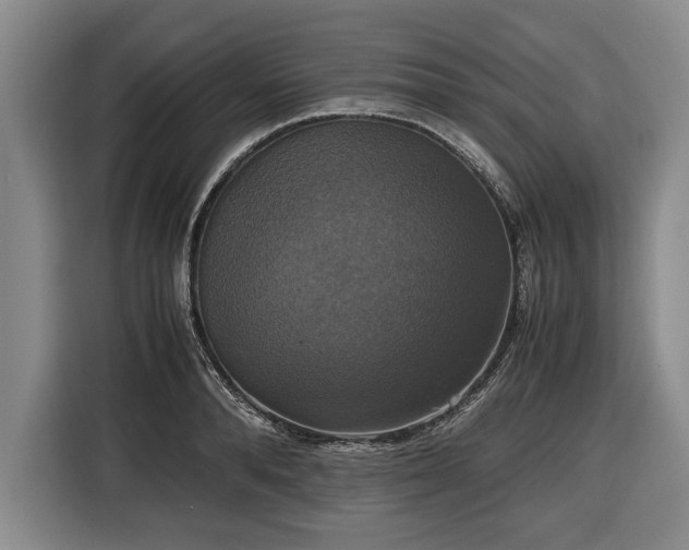 X0000116420896200912150956