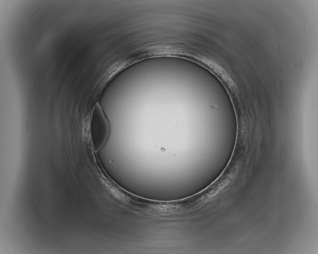 X0000116420897200912150956
