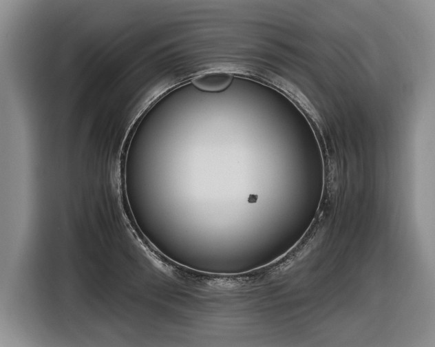 X0000116420898200912150956