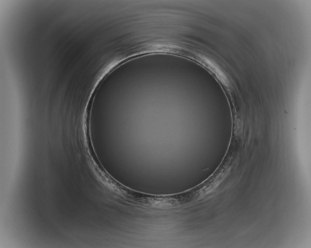 X0000116420899200912150956