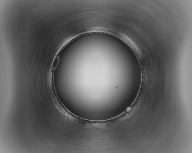 X0000116420900200912150956