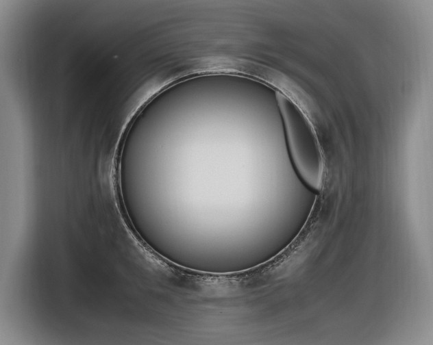 X0000116420901200912150956
