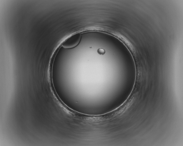 X0000116420902200912150956