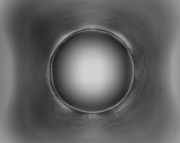 X0000116420903200912150956