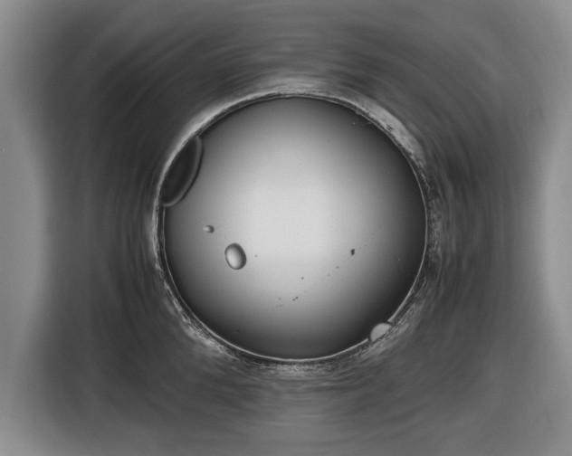 X0000116420904200912150956