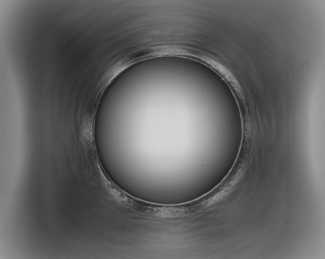 X0000116420905200912150956