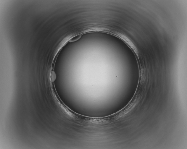 X0000116420906200912150956
