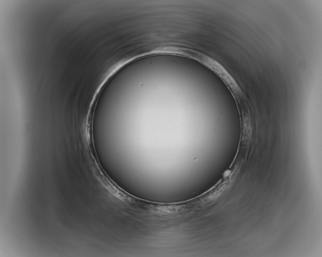 X0000116420908200912150956