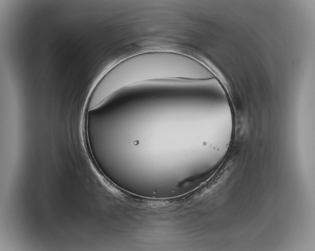X0000116420909200912150956