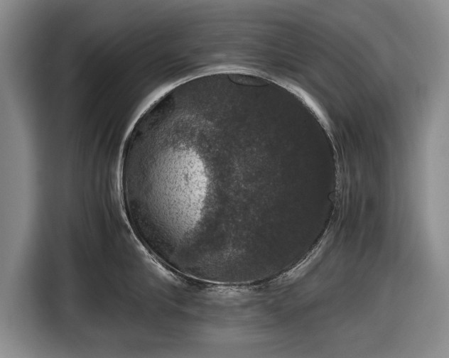 X0000116420910200912150956