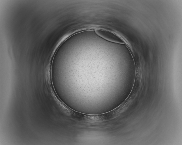 X0000116420911200912150956