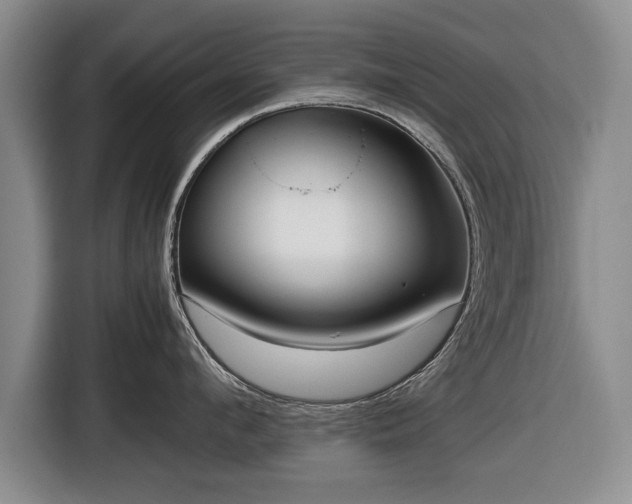 X0000116420912200912150955