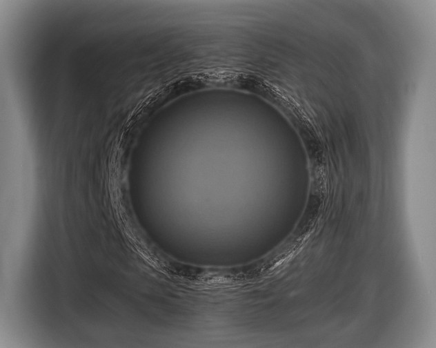 X0000116420913200912150955