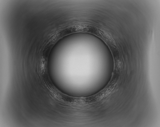 X0000116420914200912150955
