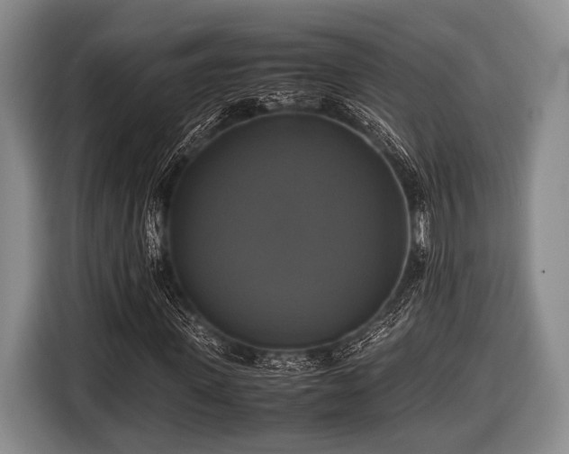 X0000116420915200912150955