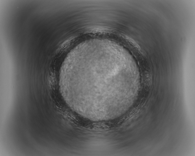 X0000116420918200912150955