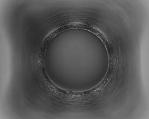 X0000116420919200912150955