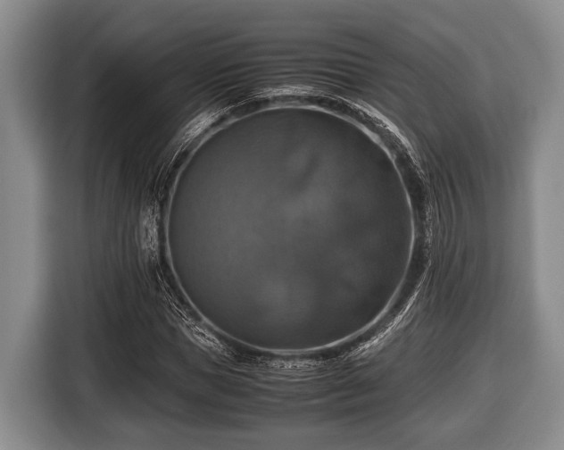 X0000116420921200912150955