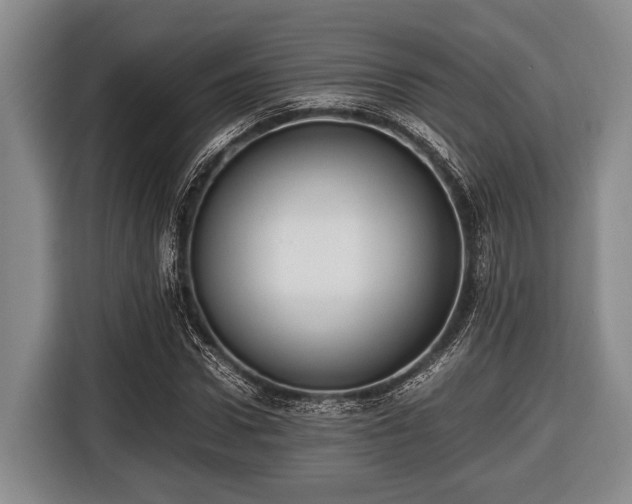 X0000116420922200912150955