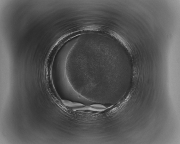 X0000116420923200912150955