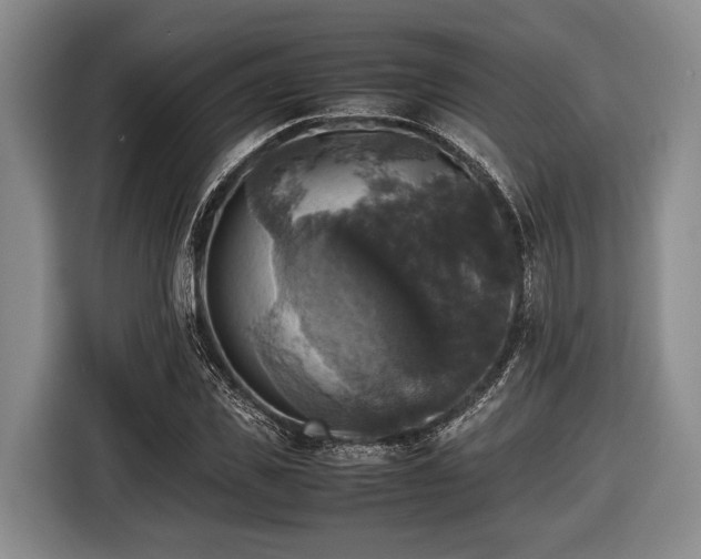 X0000116420925200912150955