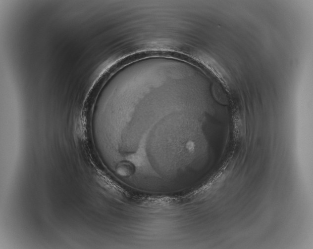 X0000116420926200912150955