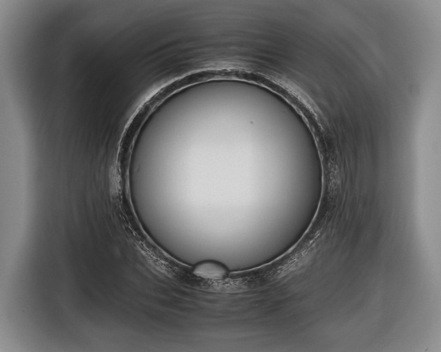 X0000116420927200912150955