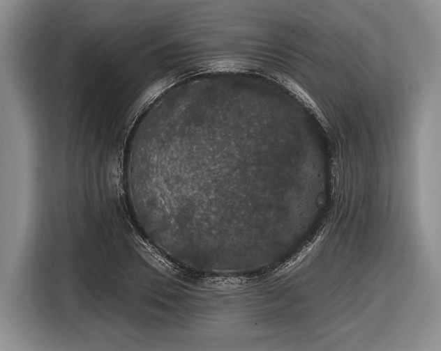 X0000116420930200912150955
