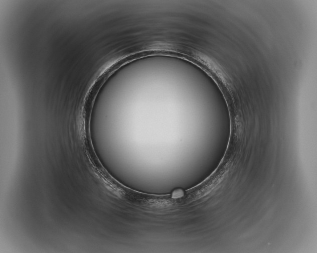 X0000116420931200912150955