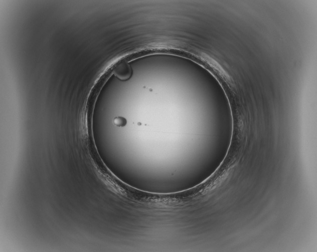 X0000116420934200912150955