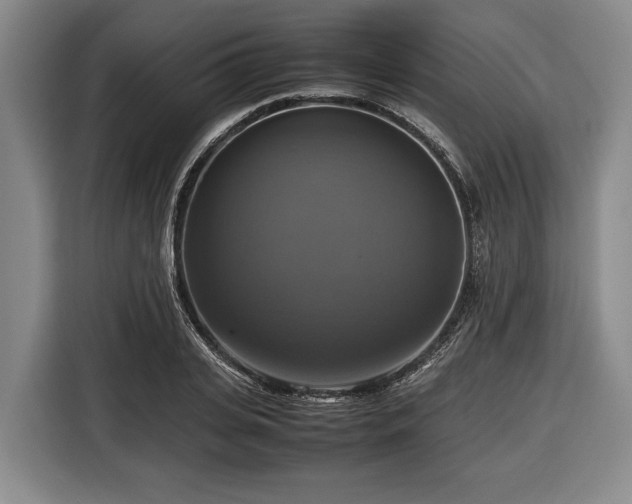 X0000116420935200912150955