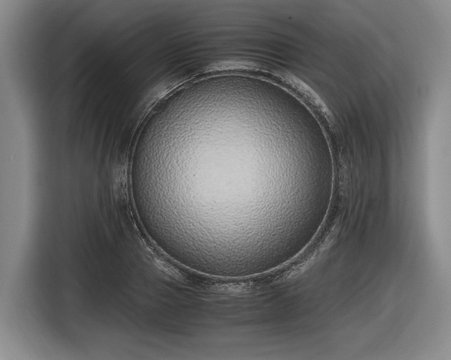 X0000116420937200912150955