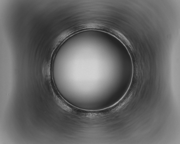 X0000116420938200912150955