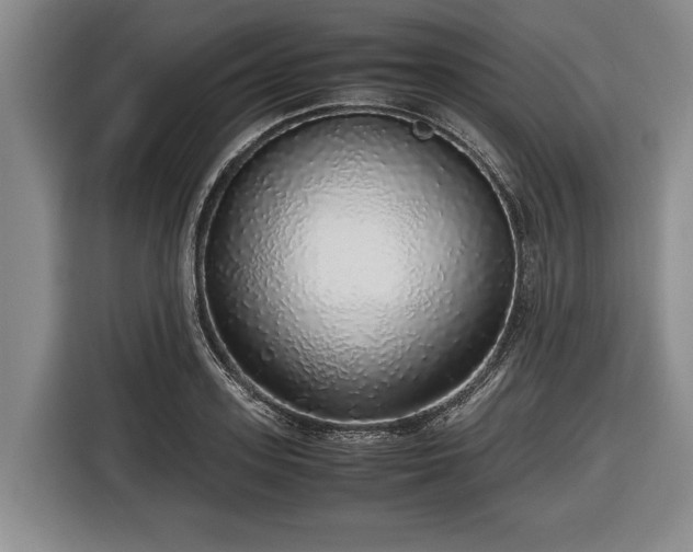 X0000116420939200912150955