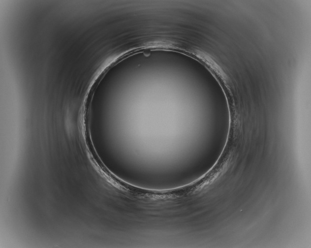 X0000116420941200912150955