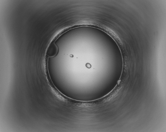 X0000116420942200912150955