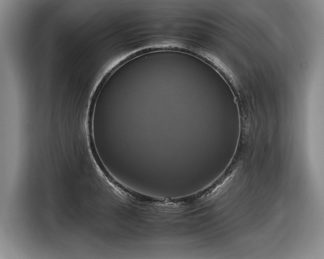 X0000116420943200912150955
