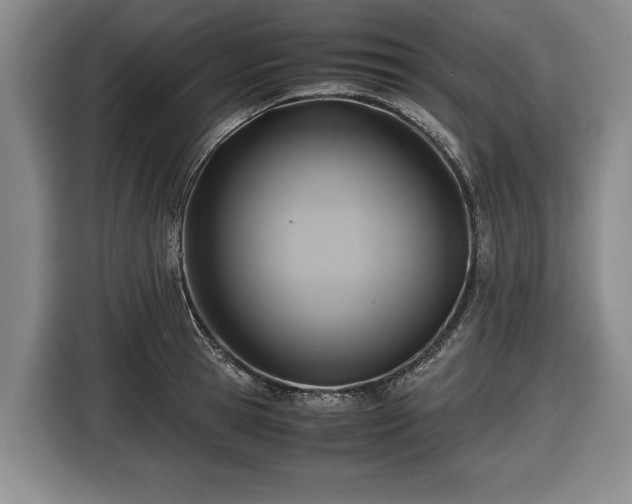 X0000116420945200912150955