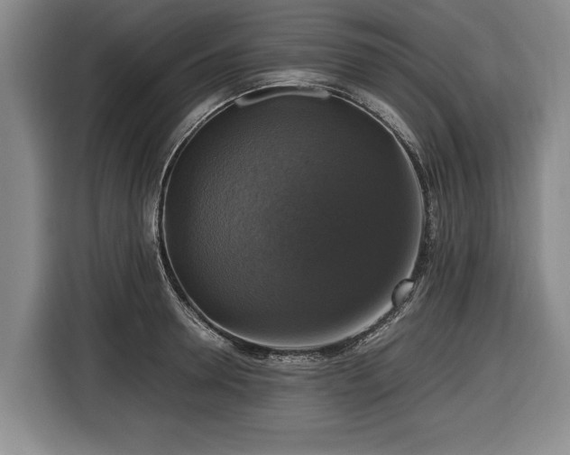 X0000116420946200912150955