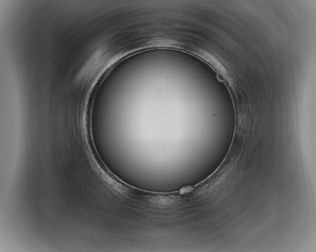 X0000116420947200912150955