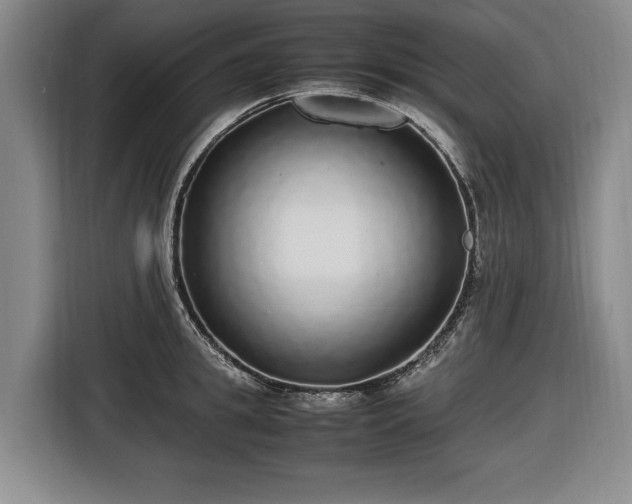 X0000116420949200912150955