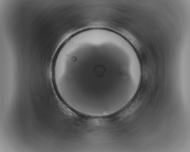 X0000116420950200912150955