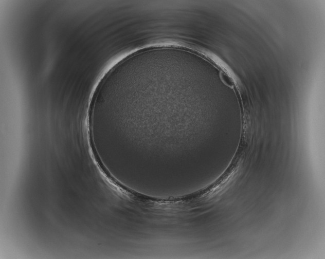 X0000116420951200912150955