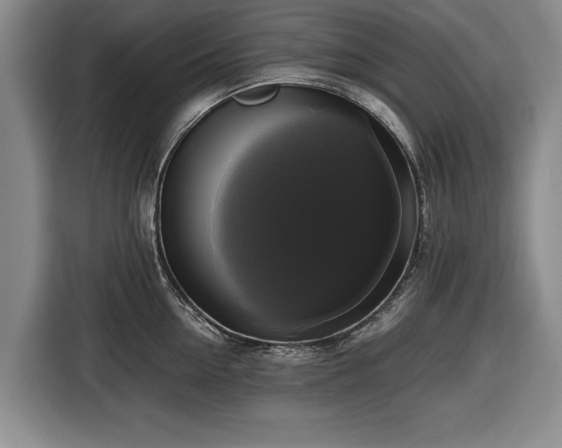 X0000116420954200912150955