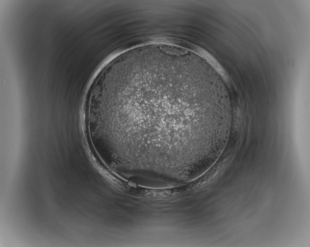 X0000116420955200912150955
